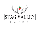 /public/logoimage/1560933706stag valley-03.png